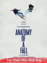 Anatomy of a Fall