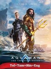 Aquaman and the Lost Kingdom